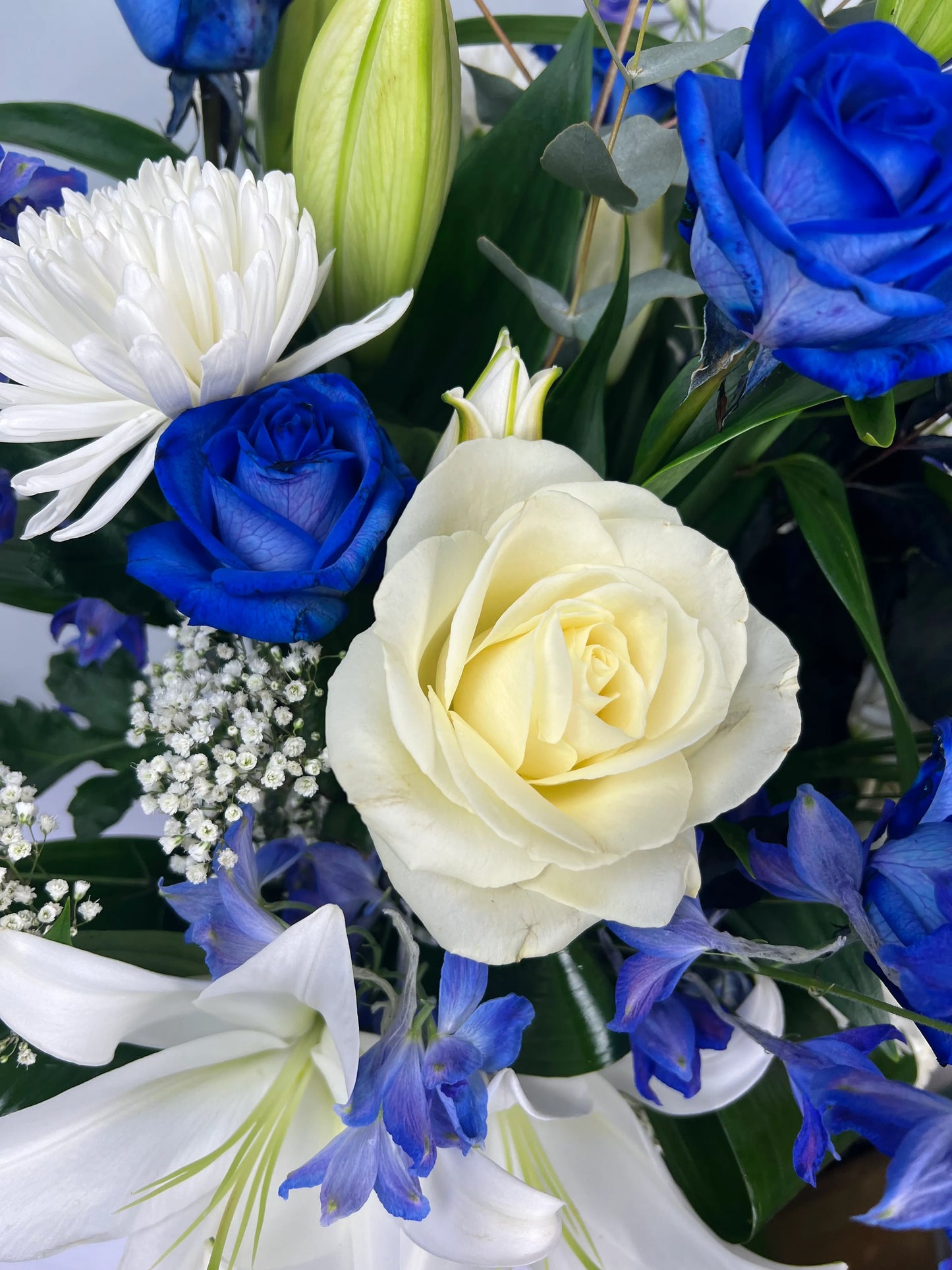 DANIELA – The Blue Rose And Lily Mix
