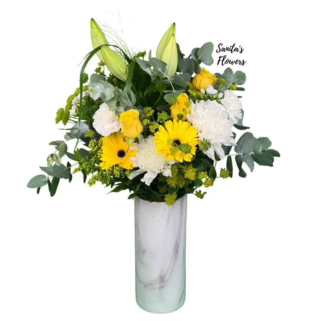 gazania sunshine mix